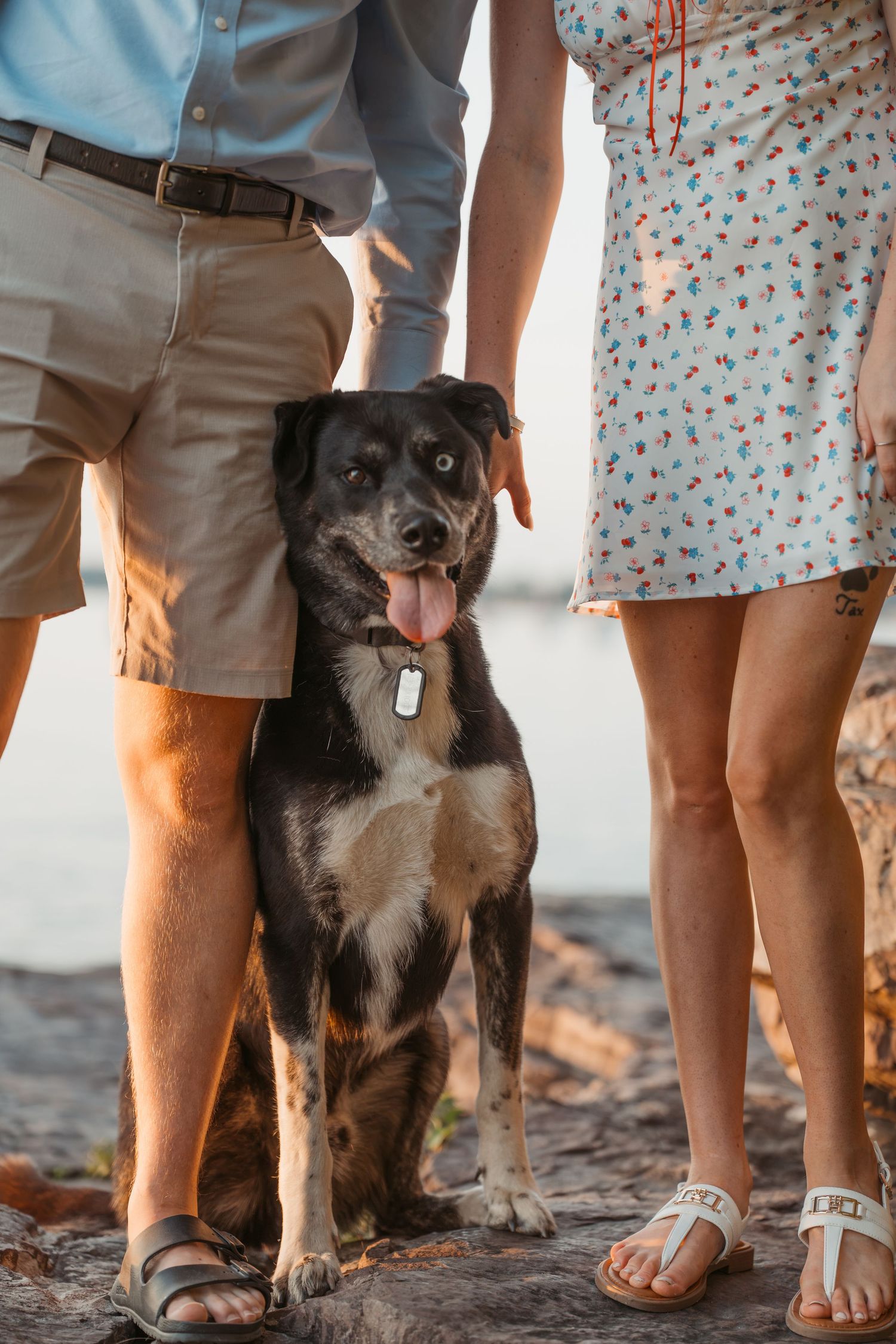 A happy black and tan dog sits between a couple's legs on a rocky beach at golden hour sunset.