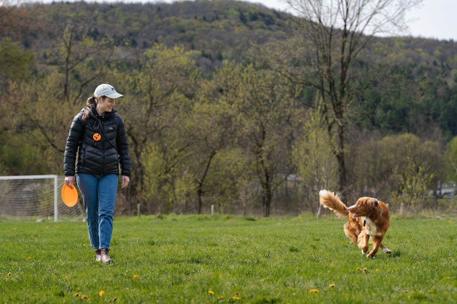 Woman holding orange frisbee walks beside a golden retriever on a green field with trees and hills in background.