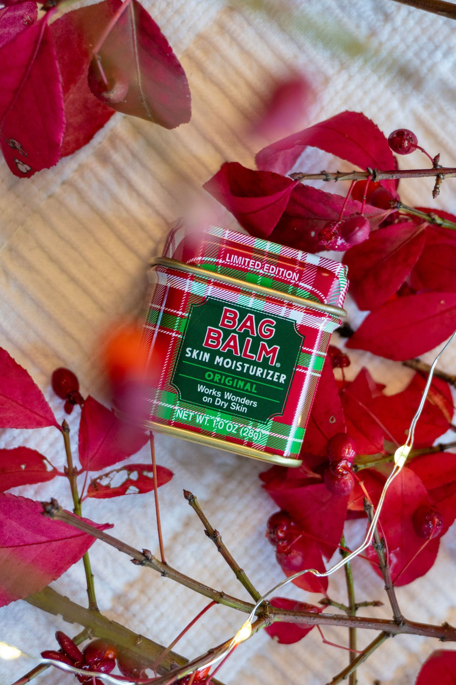 Limited edition Bag Balm skin moisturizer tin surrounded by red autumn leaves.