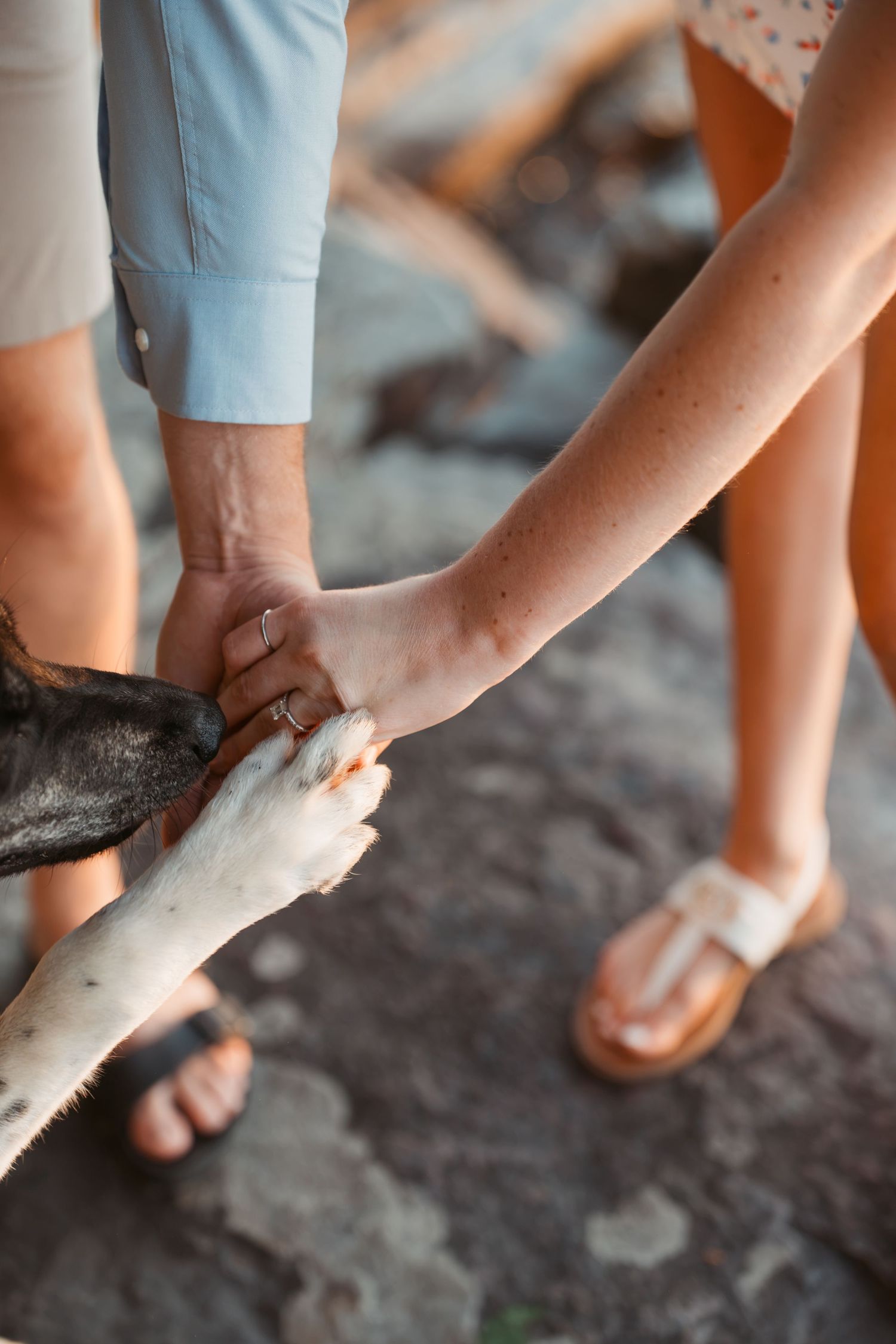 Couple holding hands with a dog's paw outdoors, symbolizing love and pet bonding.