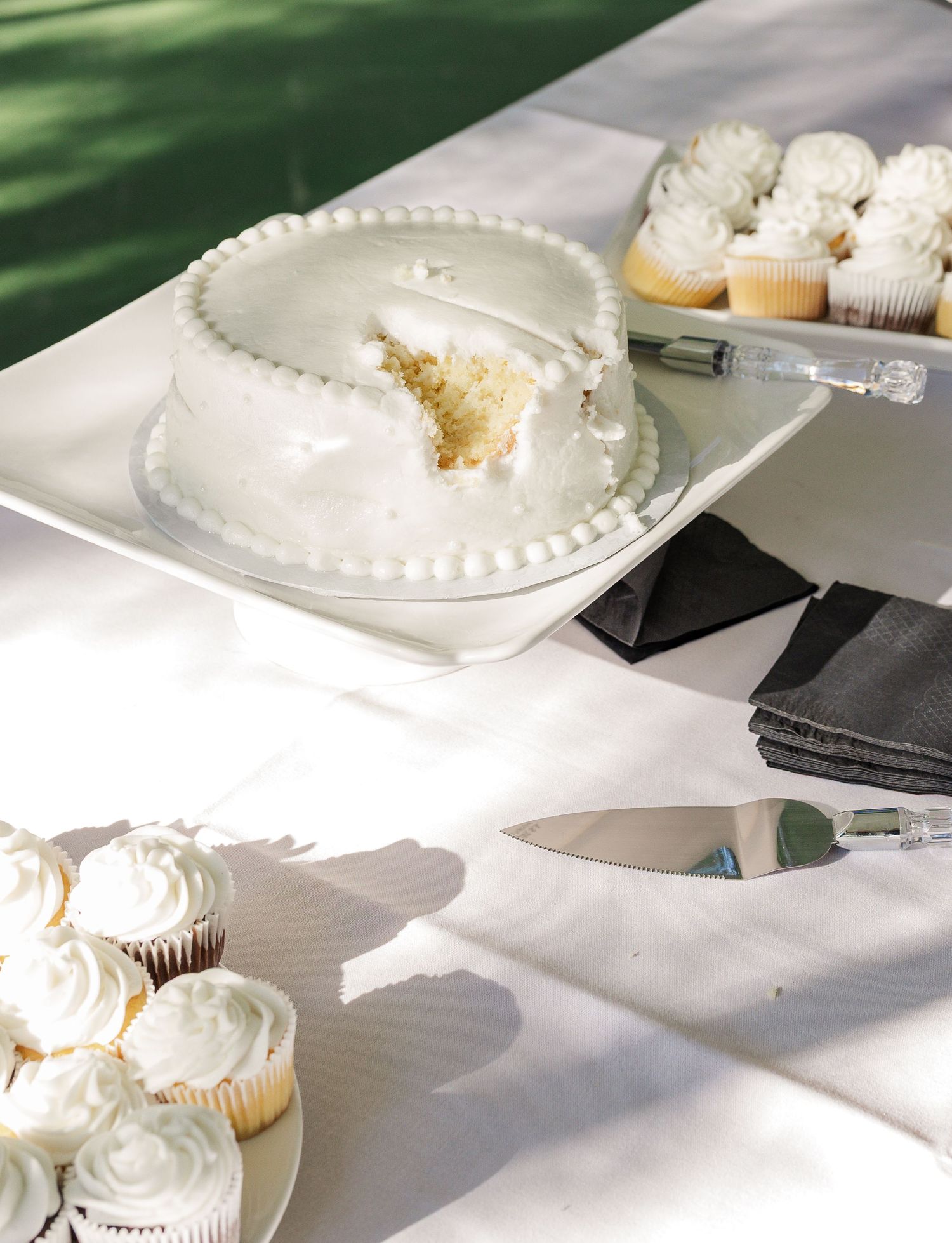 Indian Point Manor Eagle River Wisconsin Wedding