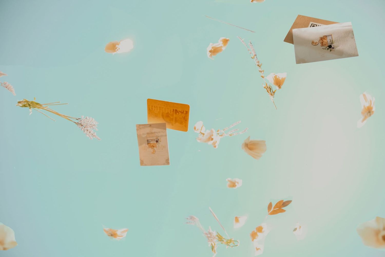 ingenious images collective