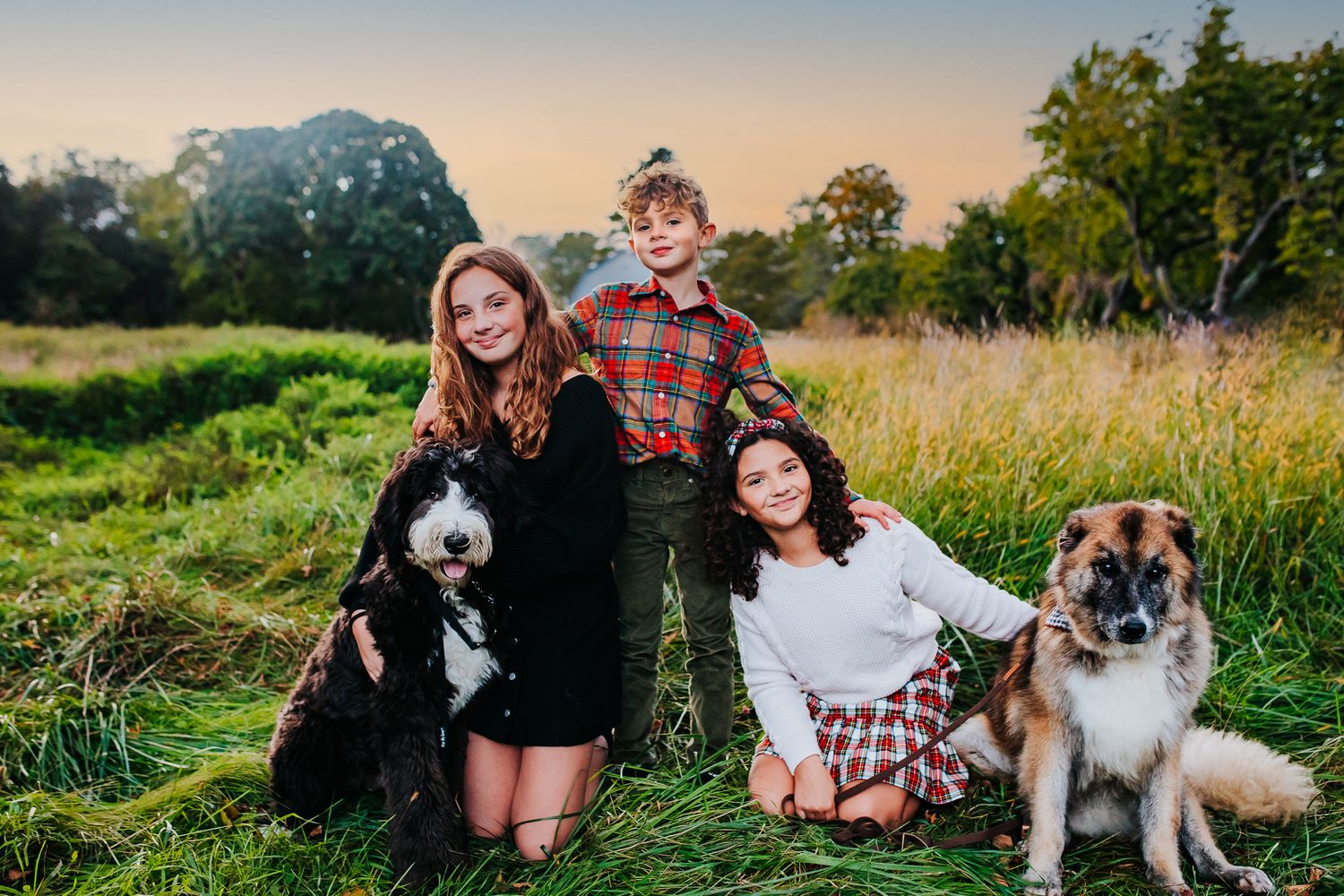 Three children posing outdoors in a green meadow with two dogs at golden hour sunset.