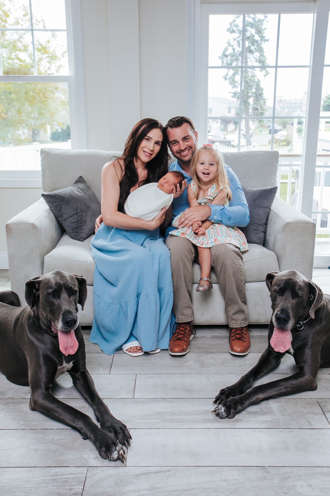 Family with newborn, toddler, and two Great Dane dogs posing on a couch in a bright living room.