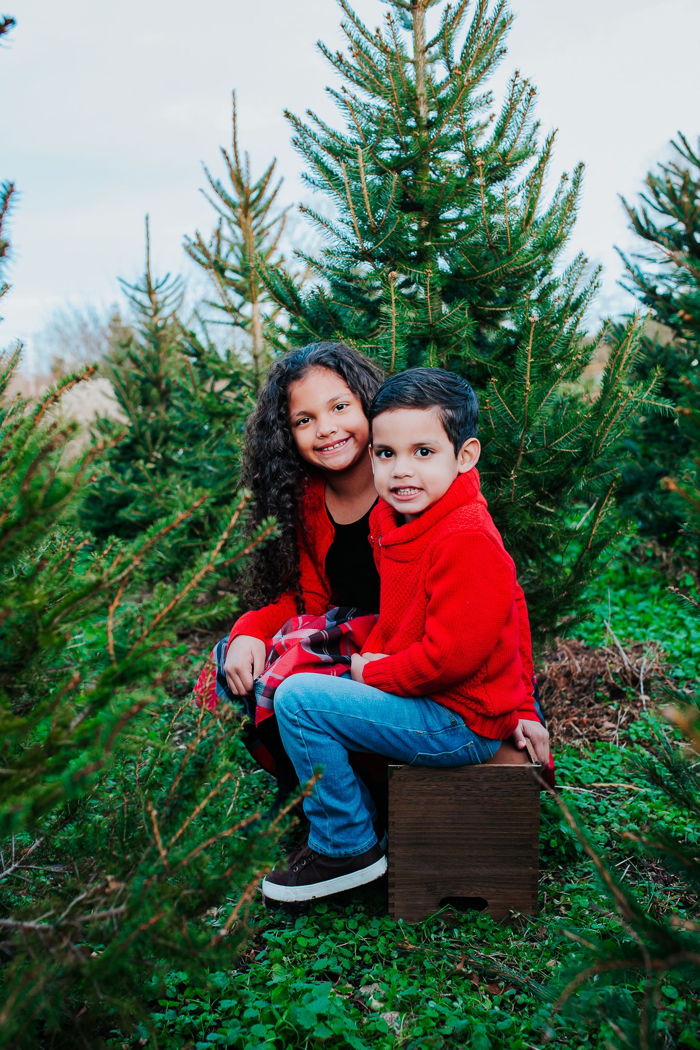 Two siblings in red outfits sitting on a wooden crate among green Christmas trees at a tree farm.