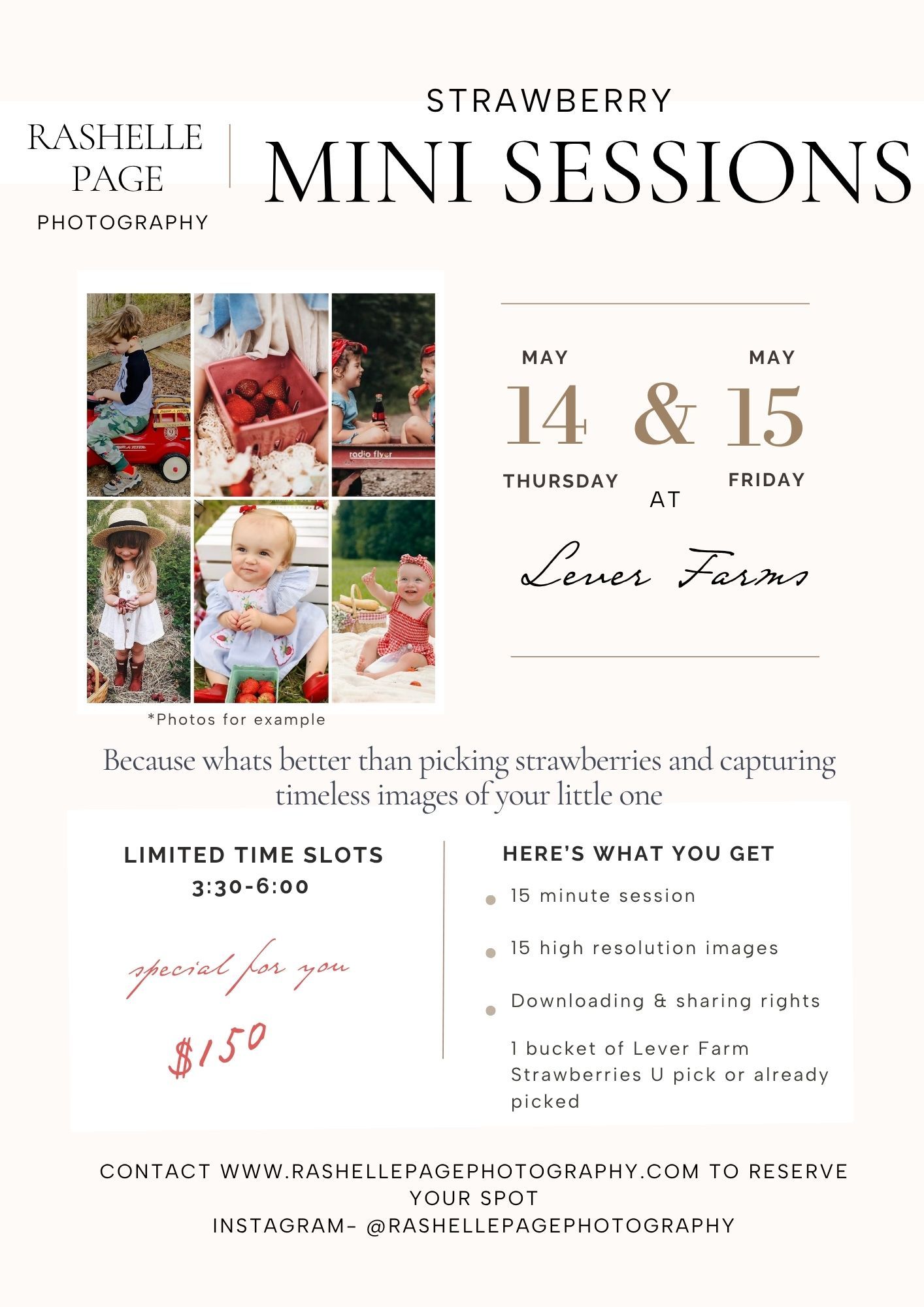 Strawberry Mini Sessions flyer for Rashelle Page Photography on May 14-15 at Lever Farms, $150 for 15-minute session.