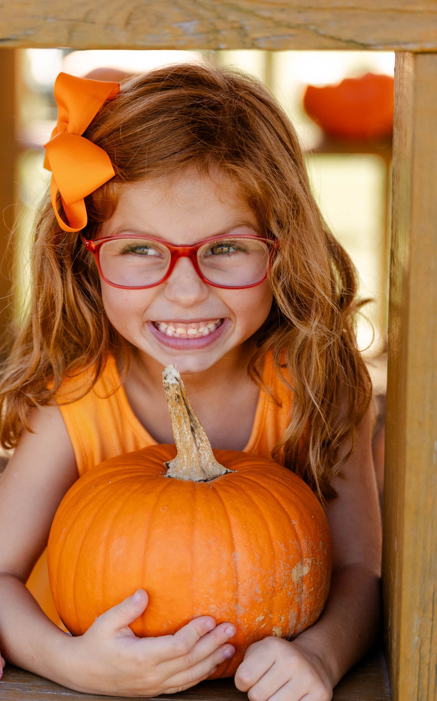 Smiling girl with red glasses and an orange bow hugs a large pumpkin while peeking through a wooden frame at a pumpkin patch.