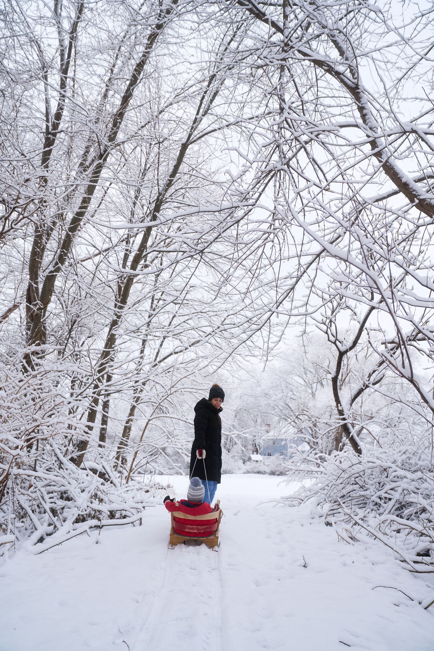 Person in black coat pulling child on red sled through snow-covered winter forest path.