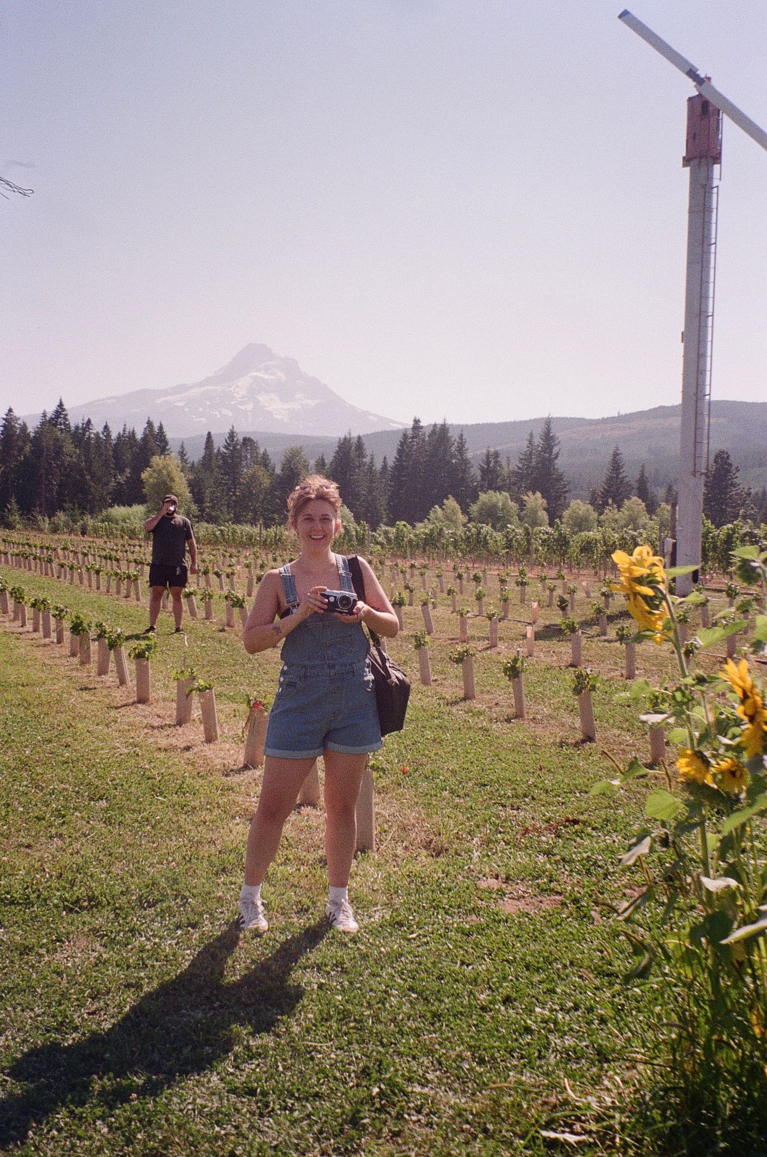 Shooting a Vineyard around Mt. Hood, Oregon.