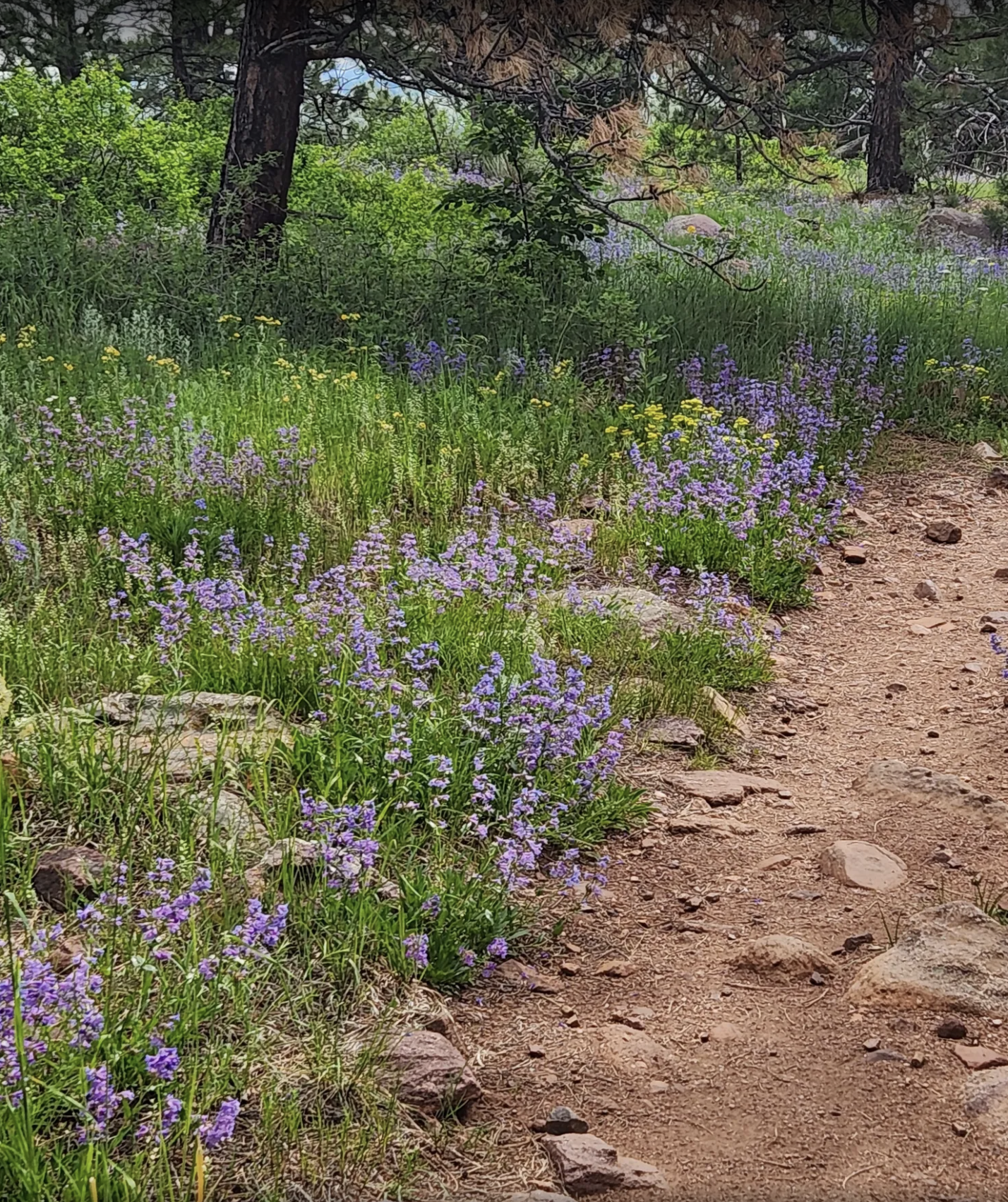 south mesa trailhead