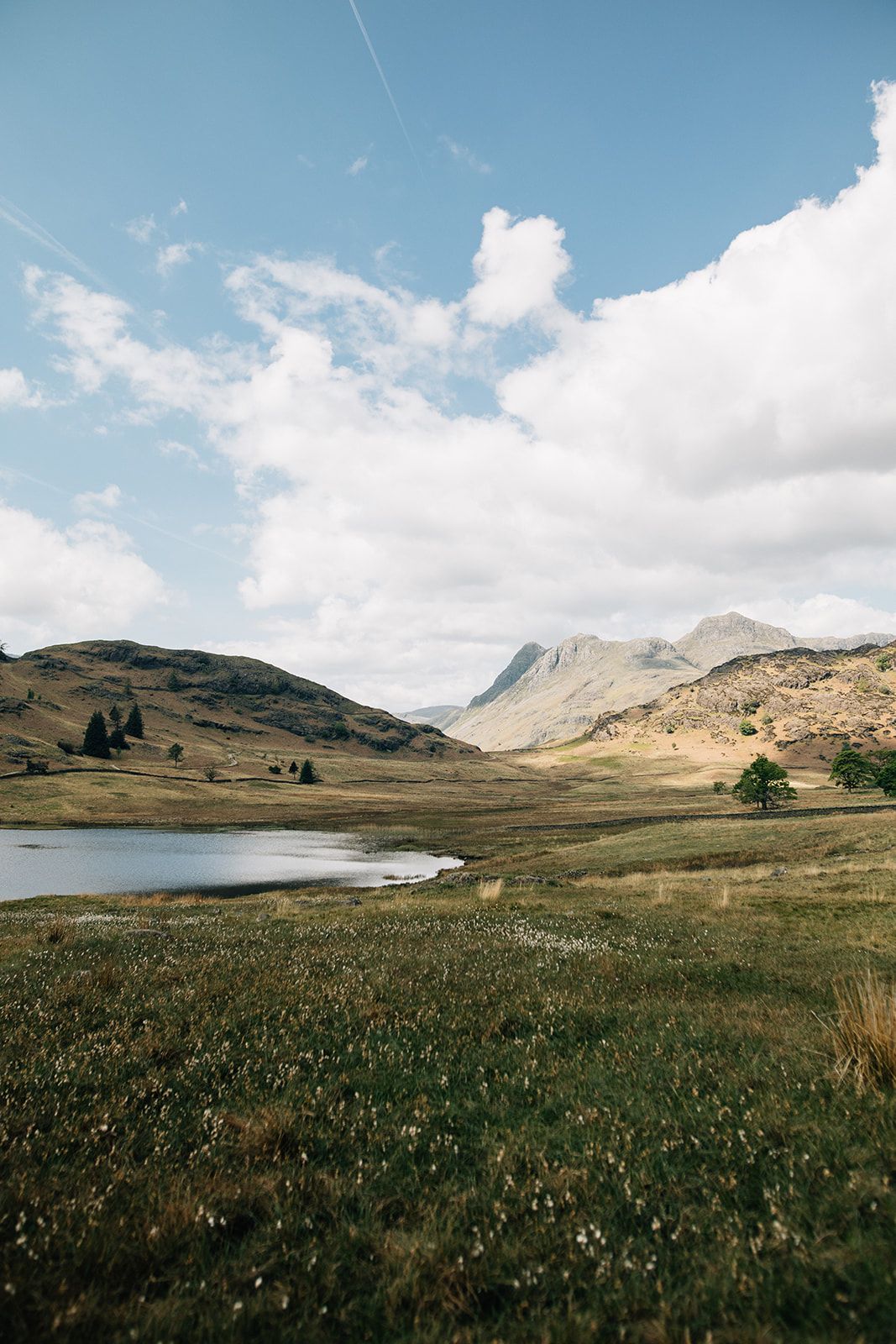A panoramic view of rolling Scottish Highlands with mountains, a tranquil loch, and wildflower meadows under cloudy skies.