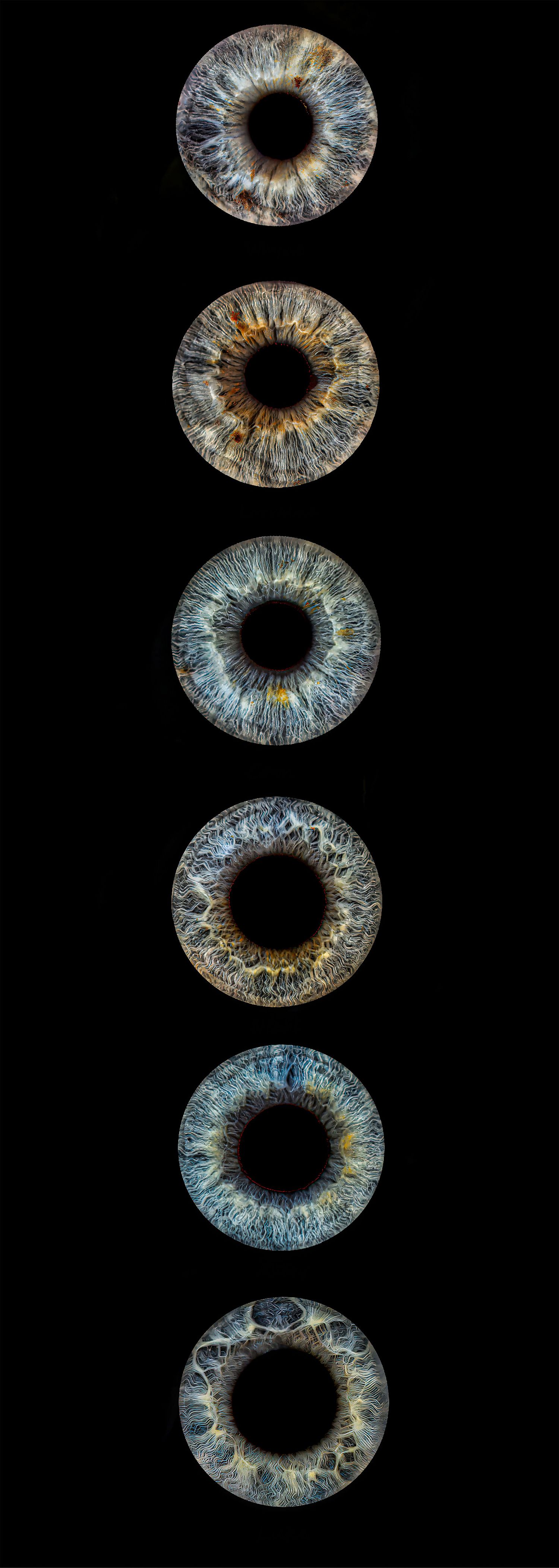 Six detailed macro photographs of human irises in various shades of blue and gray arranged vertically on black background.