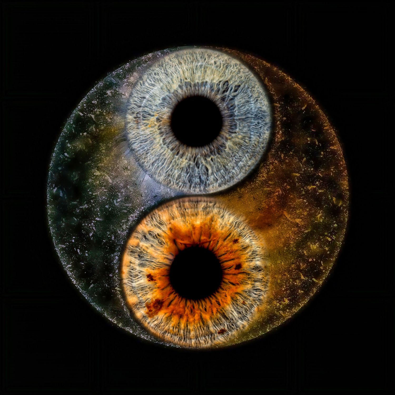 Macro photograph sequence showing a human iris transitioning from dark to light with intricate detail and texture.