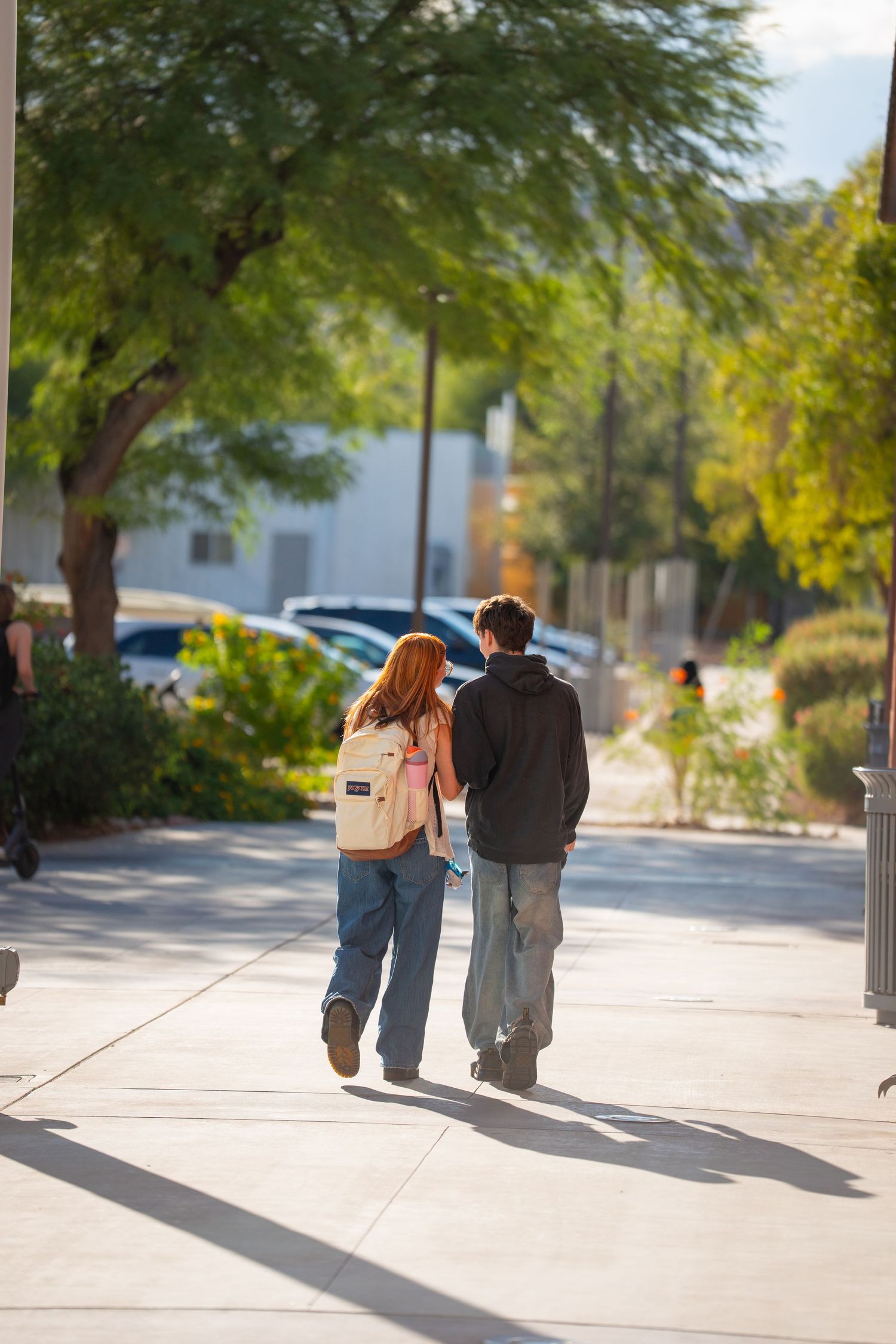 Two students walking together on a sunny tree-lined campus sidewalk, one carrying a backpack, viewed from behind.
