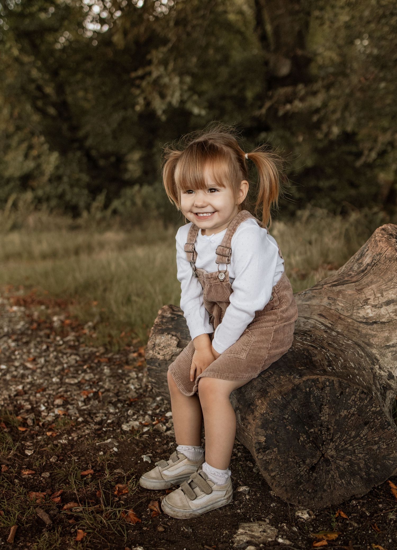 Little girl sitting on a log on a family photoshoot in Winchester