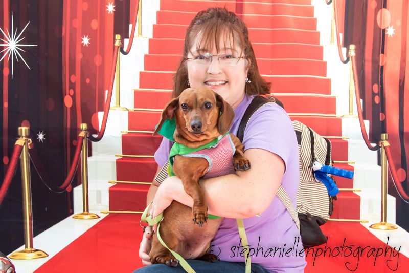 Woman holding a dachshund dog on a red carpet staircase backdrop at a pet photography event.
