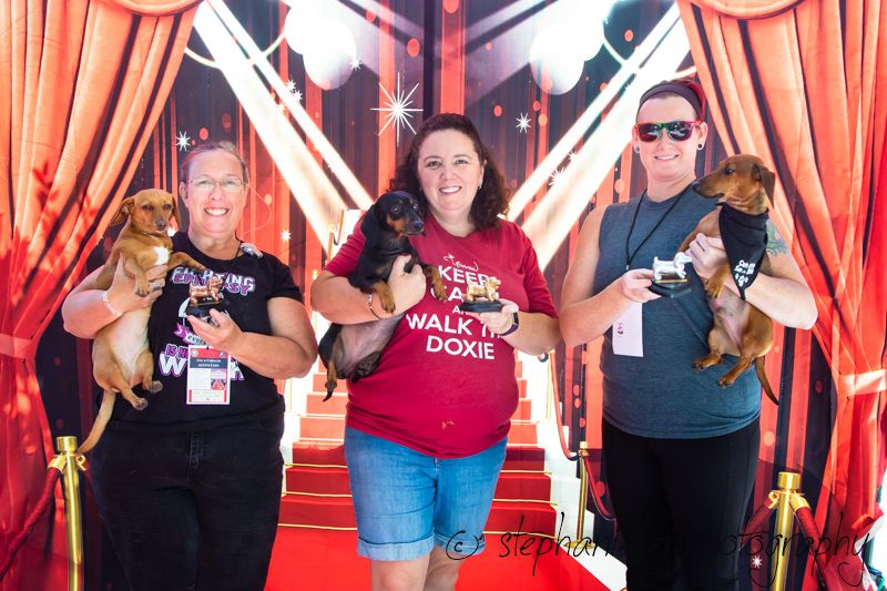 Three women holding dachshund dogs pose on a red carpet backdrop at a Walk the Doxie event.