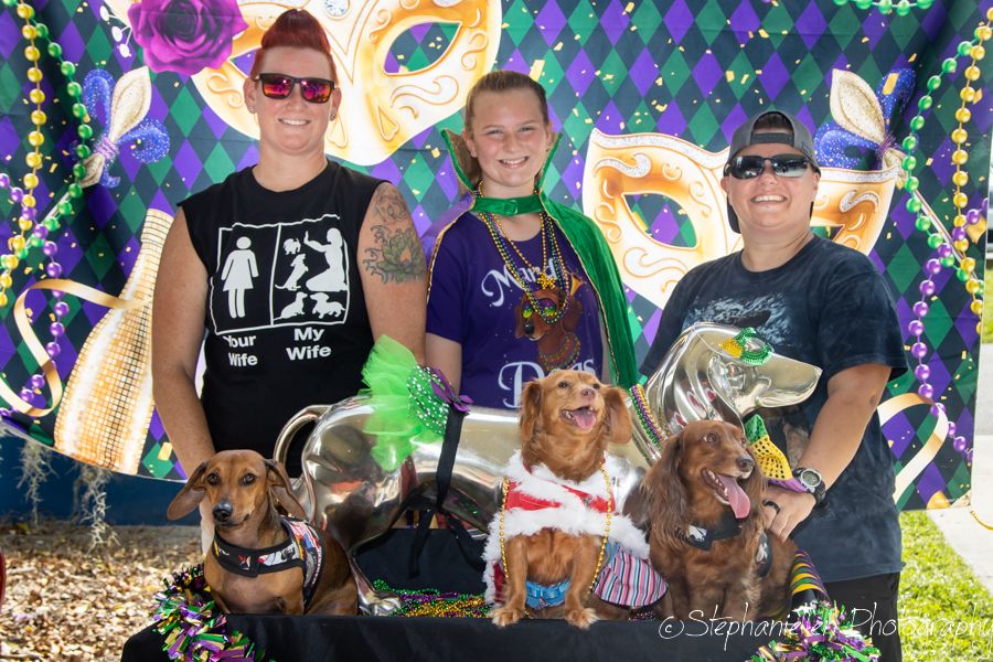 Three people pose with four dachshunds at a festive Mardi Gras themed outdoor event with colorful decorations.