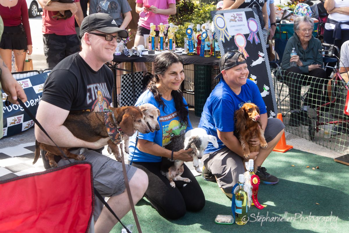 Three people in blue shirts sitting with their dachshund dogs at an outdoor dog event.