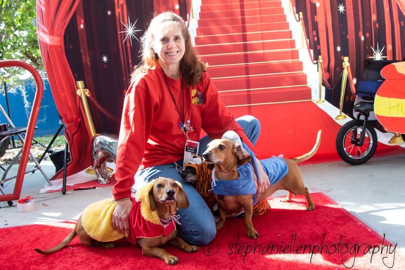 Woman in red hoodie poses with two dachshunds in costumes on a red carpet at an outdoor event.