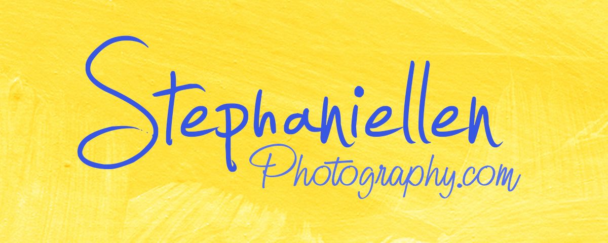 Stephaniellen Photography logo in blue script on a bright yellow background.