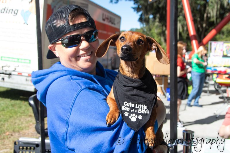 Person in blue hoodie holding a dachshund wearing a humorous black bandana at an outdoor event.