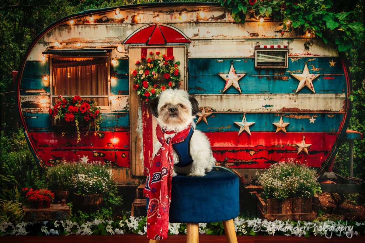 A fluffy white Shih Tzu wearing a red bandana poses on a stool in front of a patriotic vintage camper.