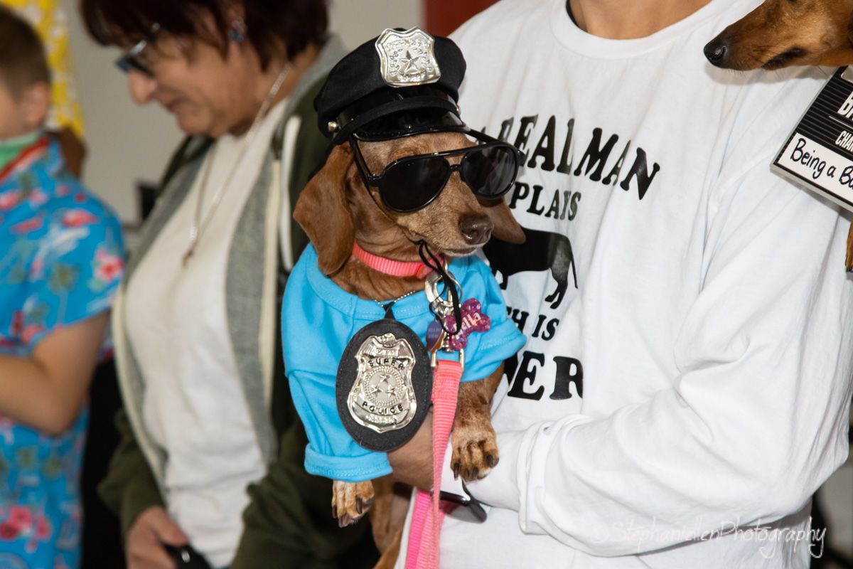 A dachshund dressed in a police officer costume with badge and sunglasses at a dog costume event.