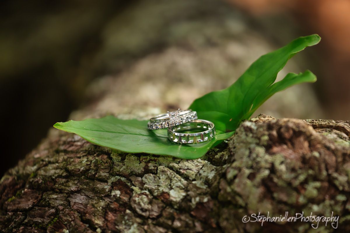 Two sparkling diamond wedding bands resting on a green leaf atop a textured tree bark surface.