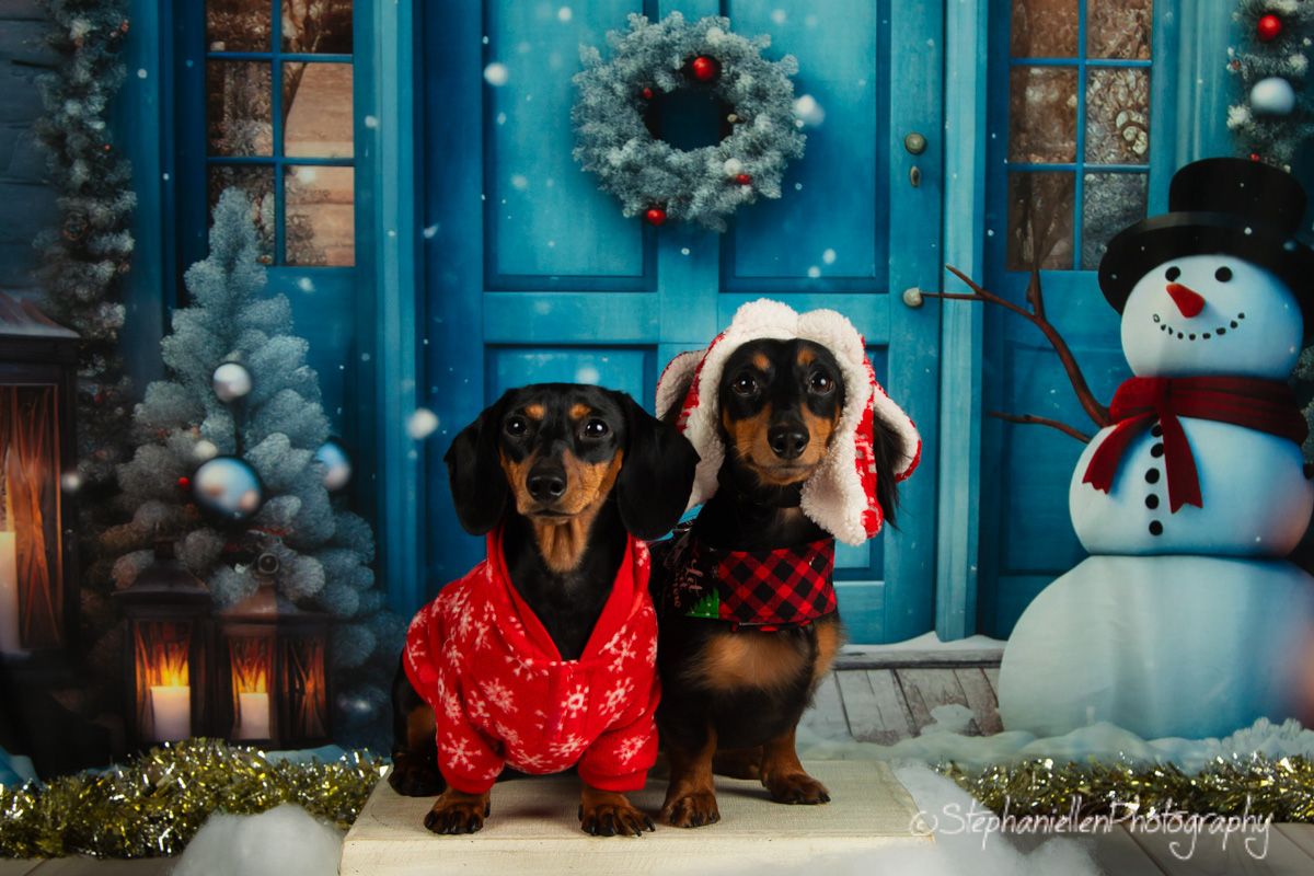 Two dachshunds in Christmas pajamas and Santa hats pose before a snowy blue door with snowman backdrop.