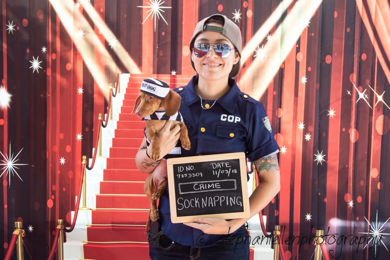 Person in cop costume holding a small dog wearing a hat, posing with a humorous chalkboard sign reading Socknapping.