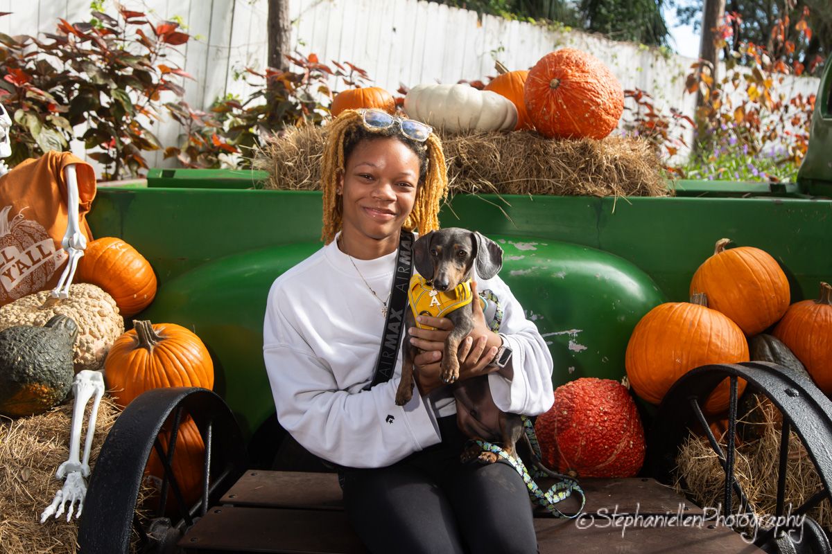 Woman holding a dachshund in Halloween costume at fall pumpkin patch with hay bales and orange pumpkins.