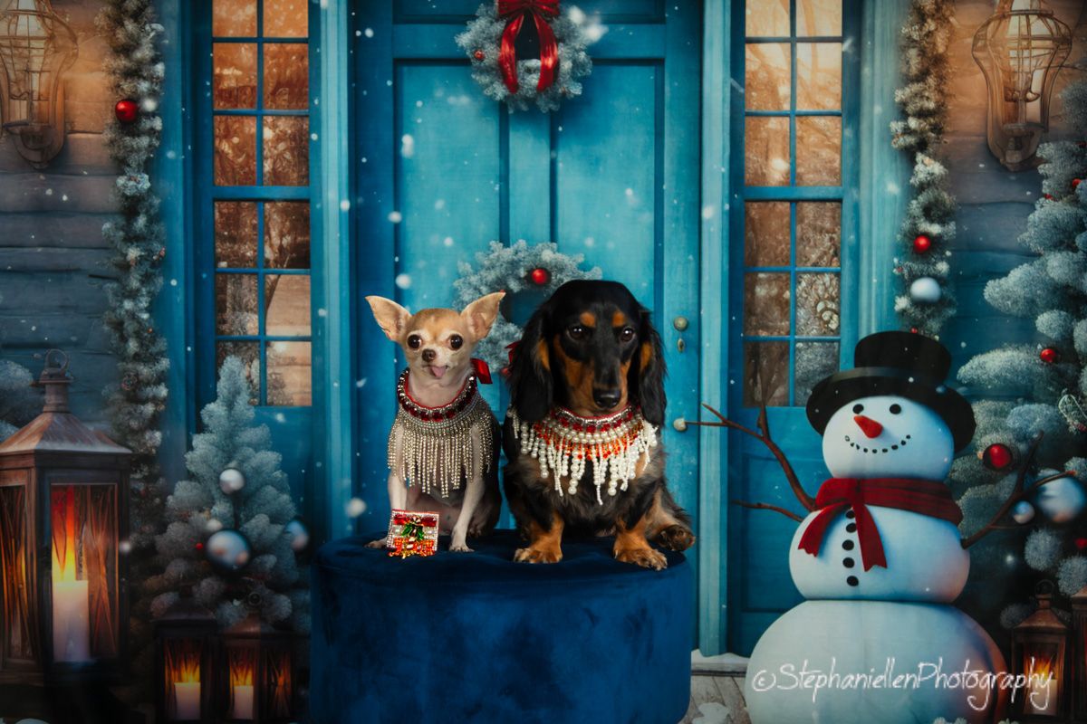 Two dogs in holiday scarves pose by a blue door with Christmas decorations and a snowman outside.