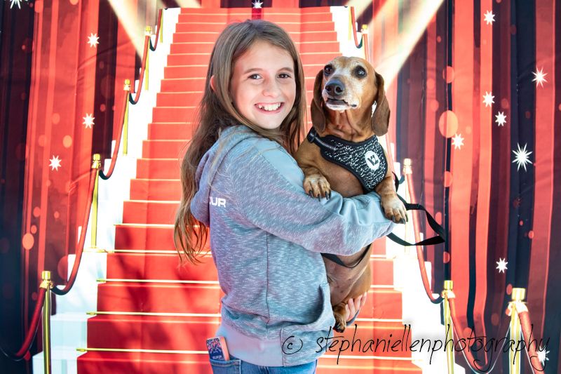 A smiling girl holds a dachshund dog on a red carpet staircase backdrop with stars and curtains.