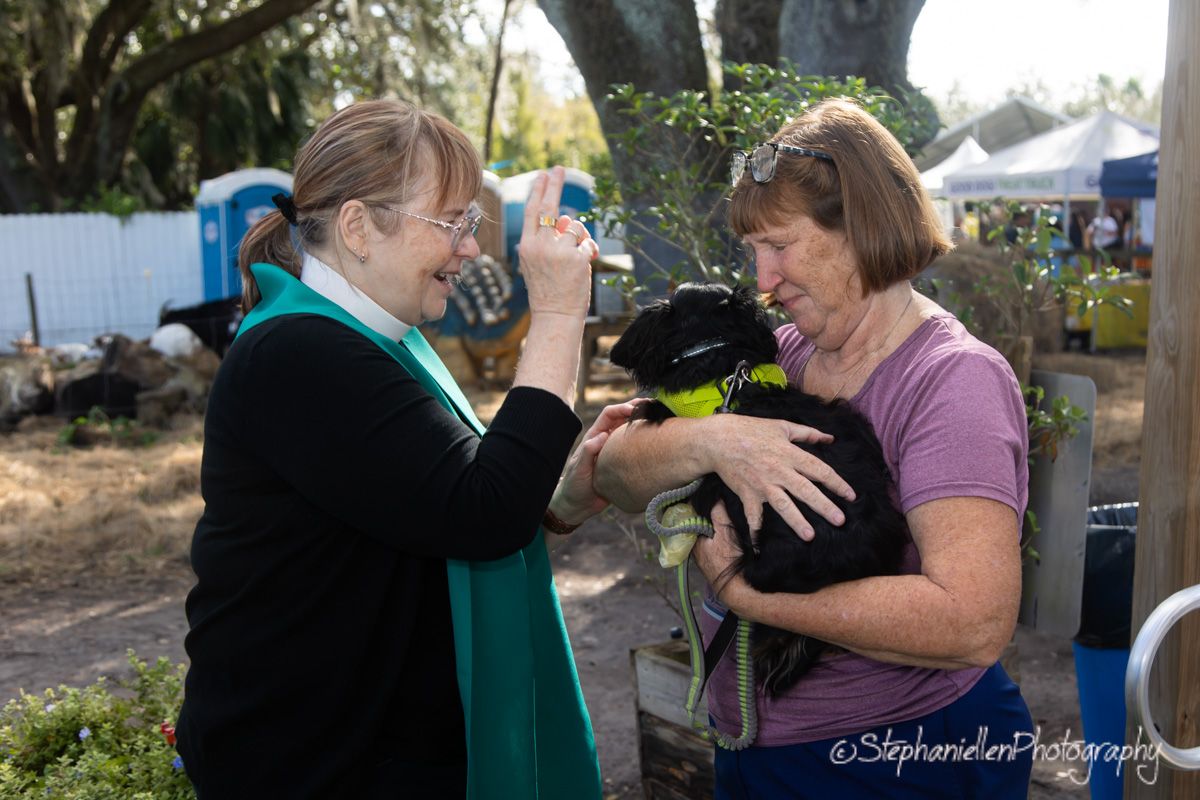 Two women interact outdoors, one photographing a small black animal held by the other at a sunny event.