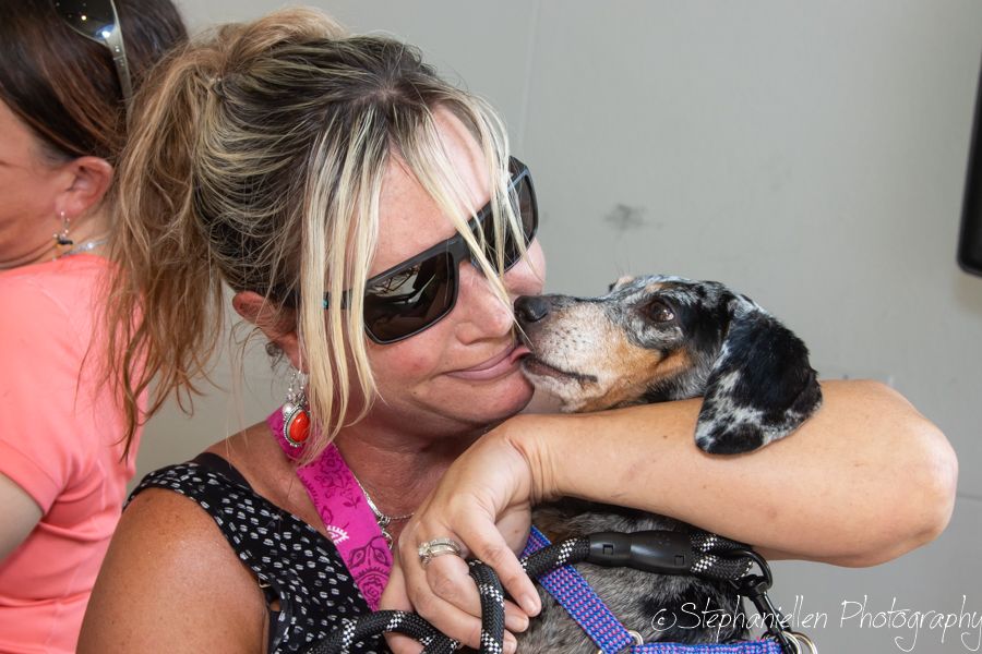 Woman with sunglasses and pink earrings holding a small dachshund puppy that licks her face outdoors.