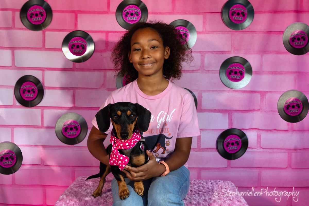A smiling girl holds a small dachshund puppy with a red polka dot bow against a pink vinyl record backdrop.