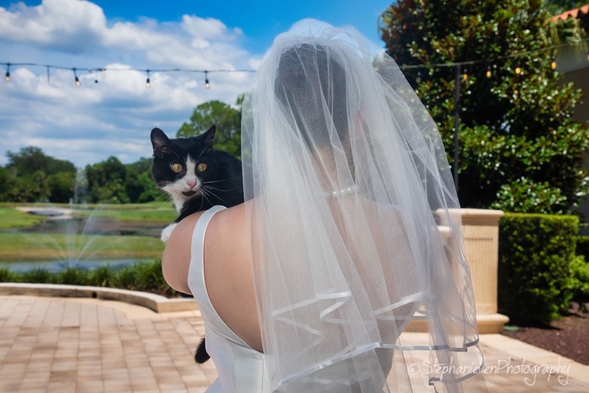 Bride in white wedding gown and veil holding a black and white cat outdoors.