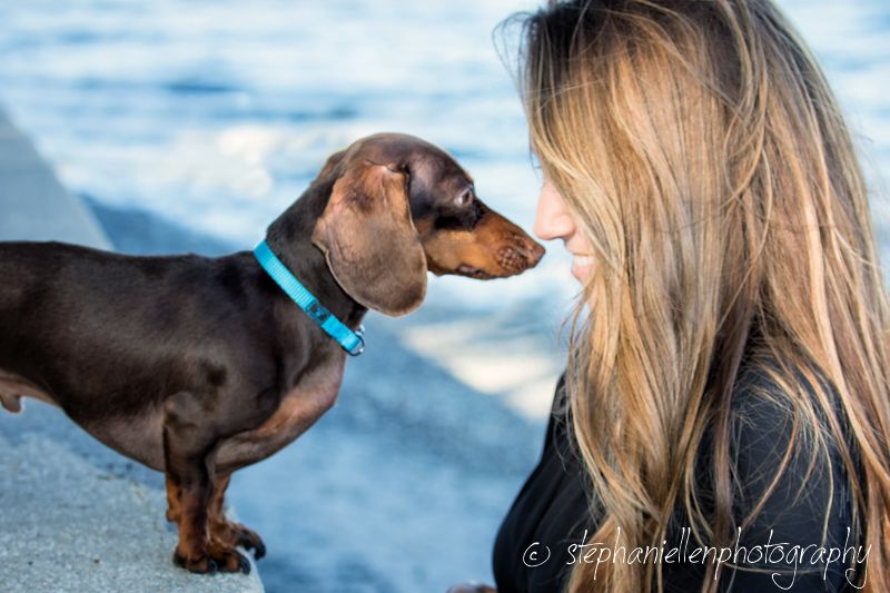 Brown Dachshund with blue collar facing a blonde woman near water.