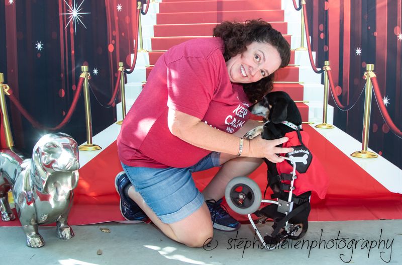 Woman kneeling beside a small dog in a wheelchair and a silver bulldog statue on a red carpet backdrop.