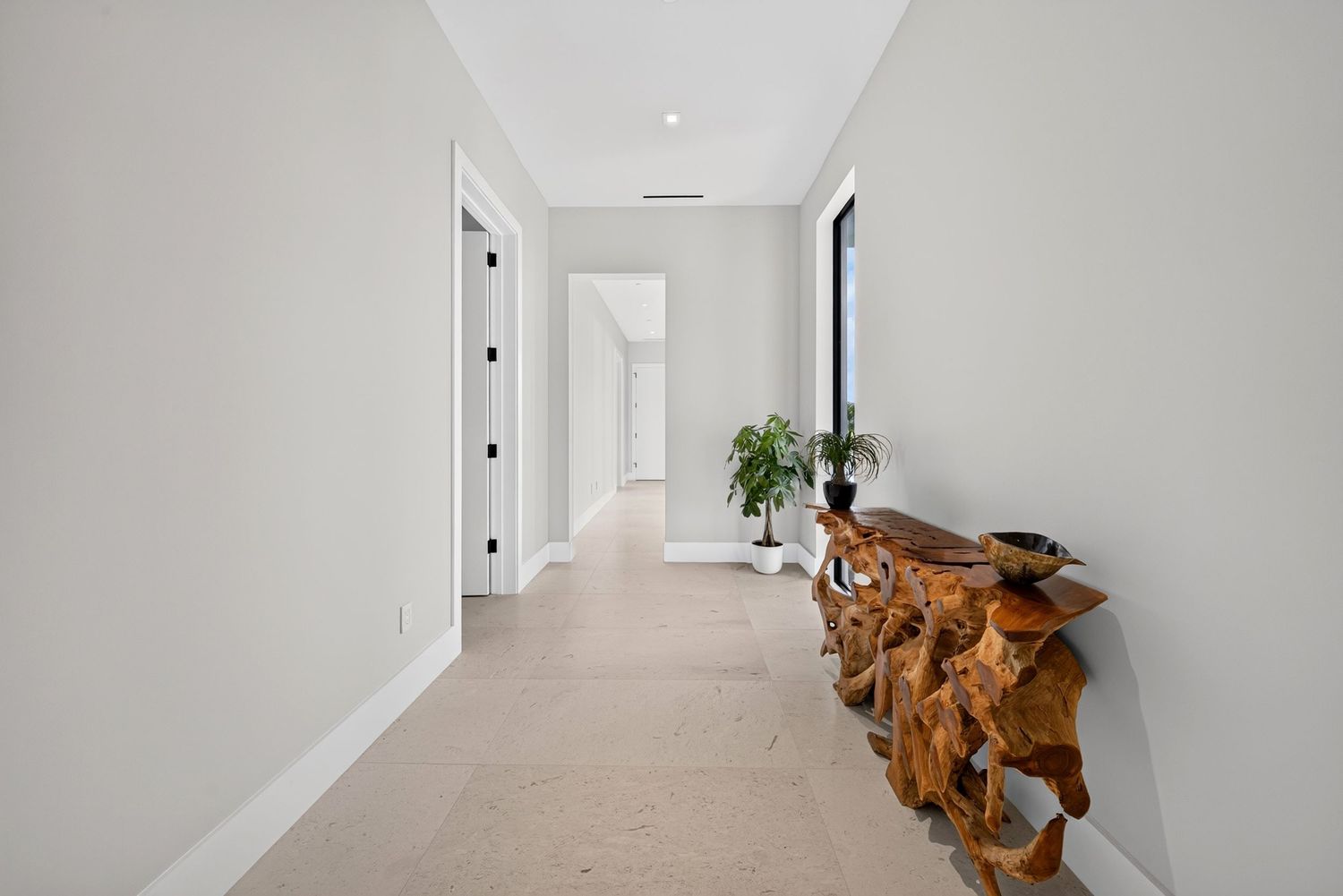 Bright modern hallway with white walls, neutral carpet, and a rustic wood root console table with a plant.