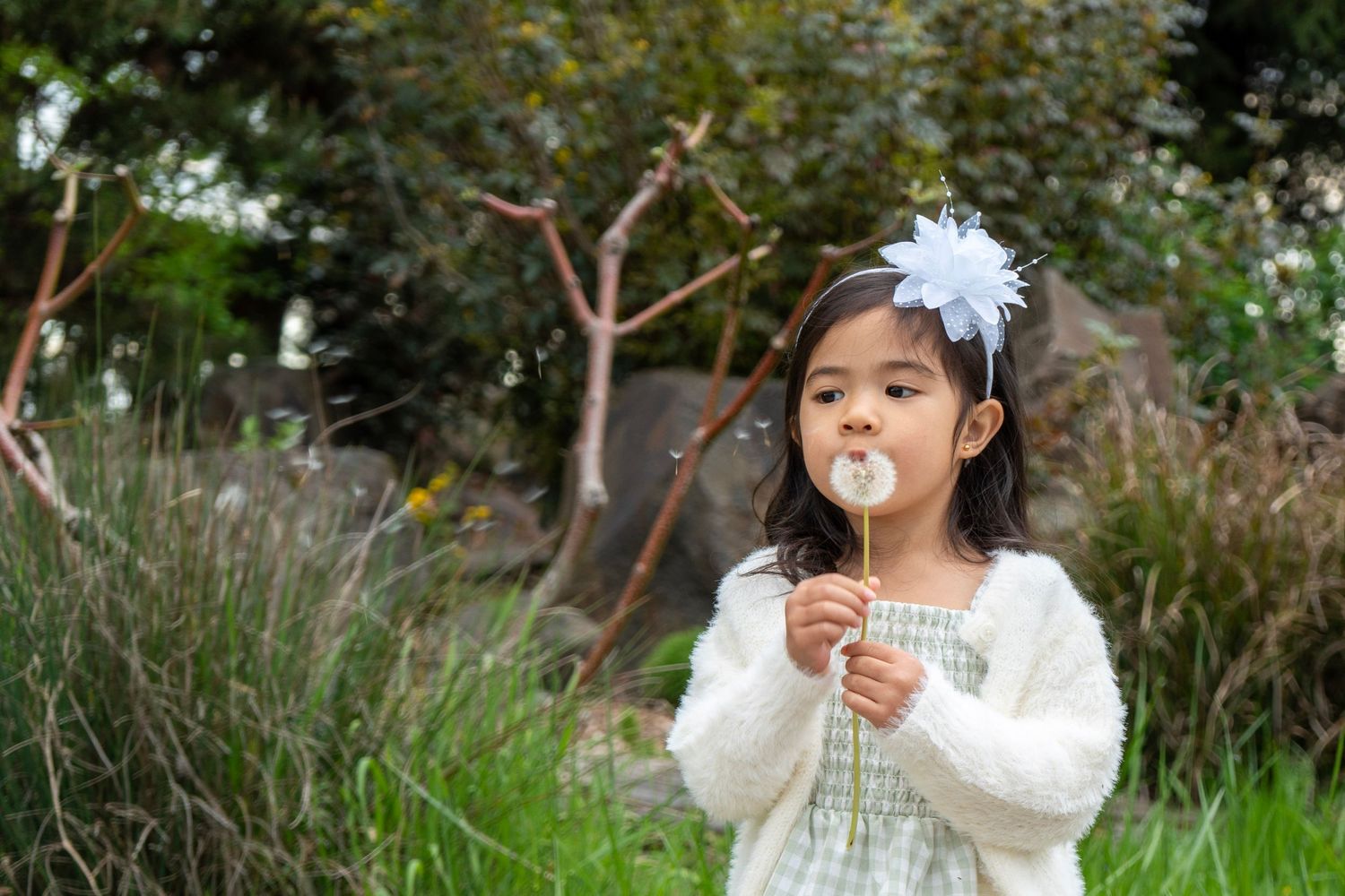 Young girl blowing on a dandelion in a garden setting during an outdoor child portrait session.