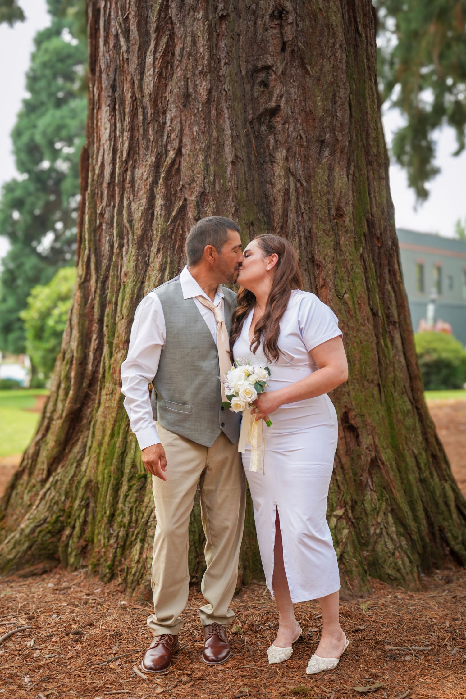Bride and groom share a kiss beneath a large tree after their intimate courthouse wedding in Hillsboro, Oregon.