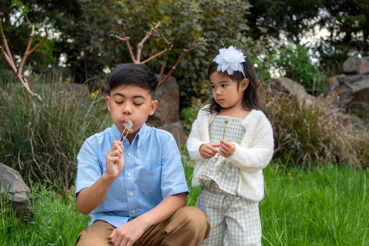 Brother blowing a dandelion as his younger sister watches during a candid outdoor family photography session