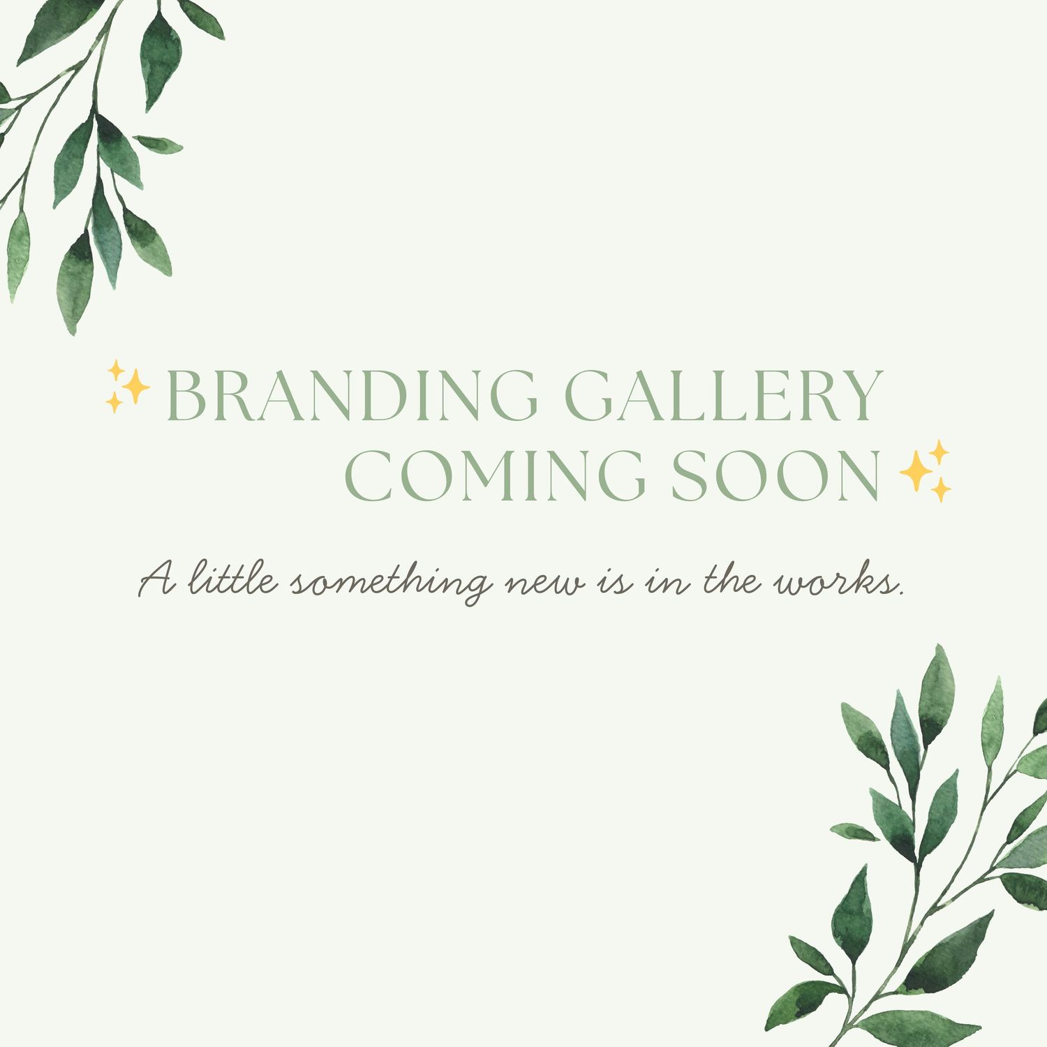 Branding photography gallery coming soon. A little something new is in the works.