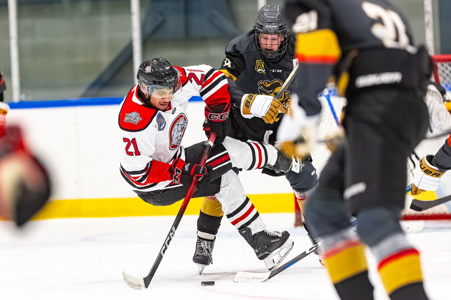 Hockey players compete on ice rink, player number 21 in red and white uniform battles opponent in black jersey.