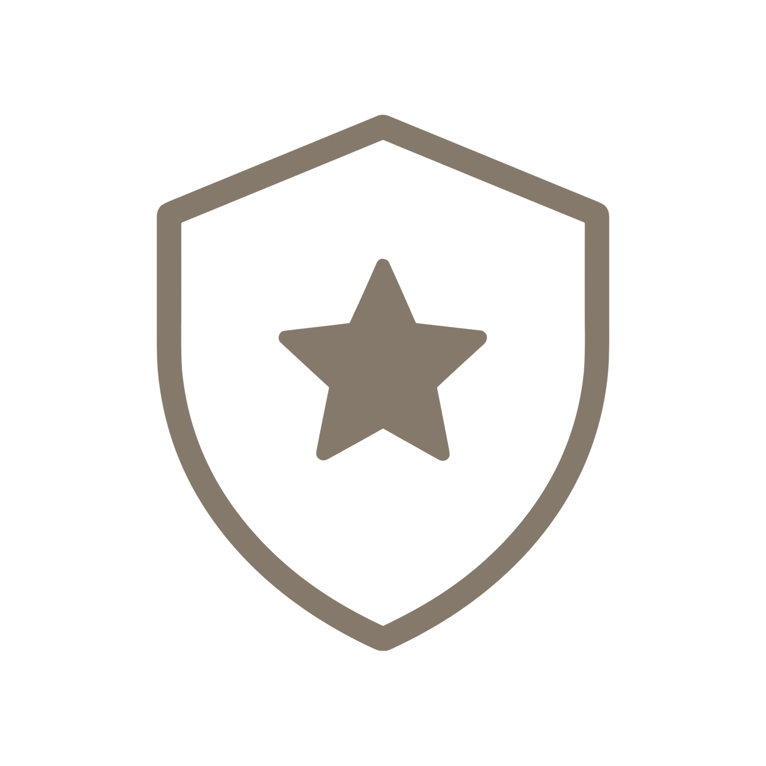 Taupe outlined shield icon with a star symbol representing security, protection, or achievement.