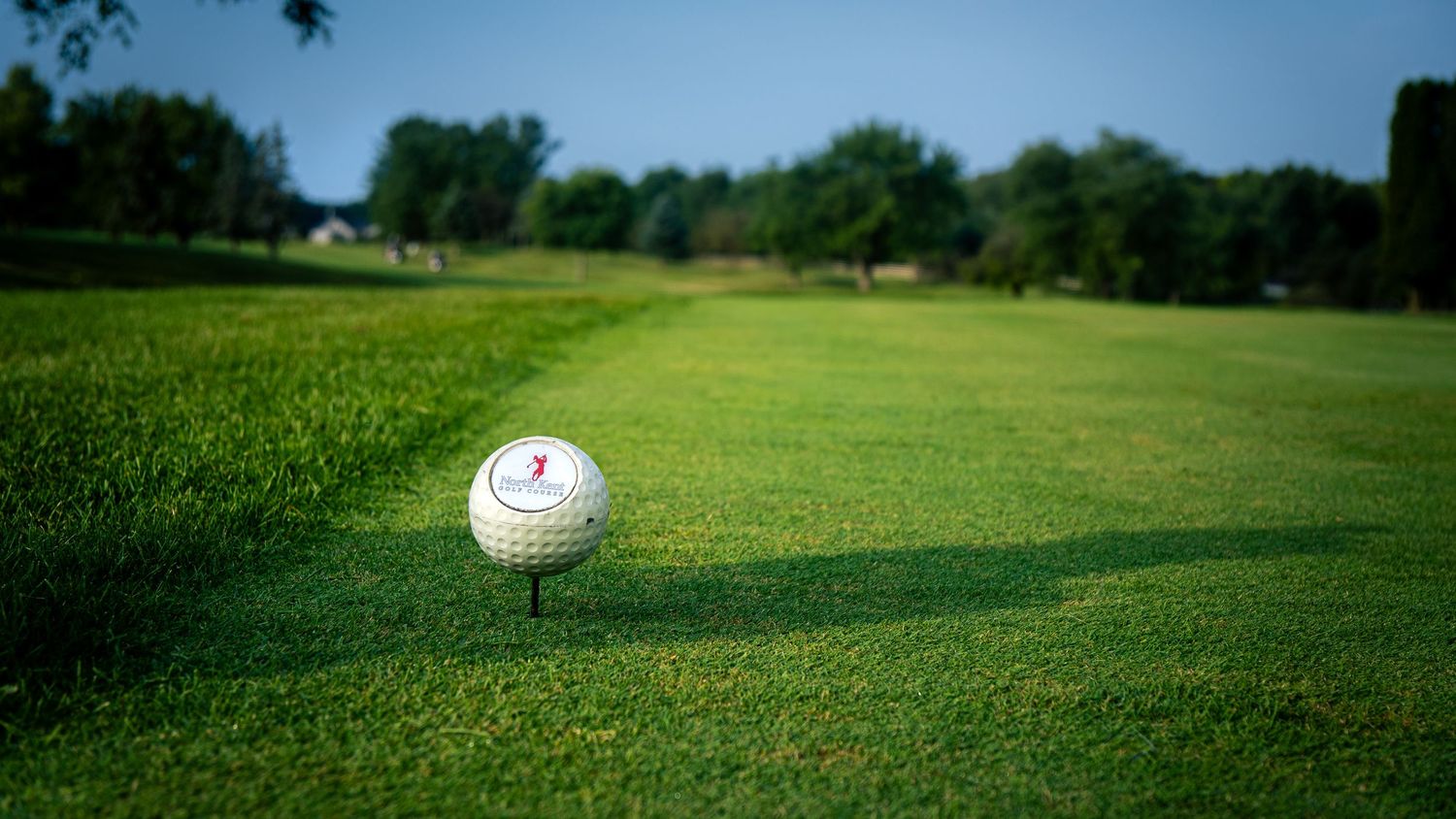 A white golf ball resting on lush green fairway grass at a sunny golf course with trees in the background.