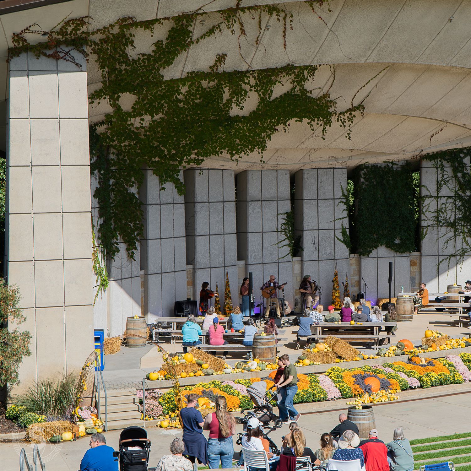 Outdoor fall festival with pumpkins, mums, and visitors gathered at a modern building adorned with ivy vines on a sunny day.