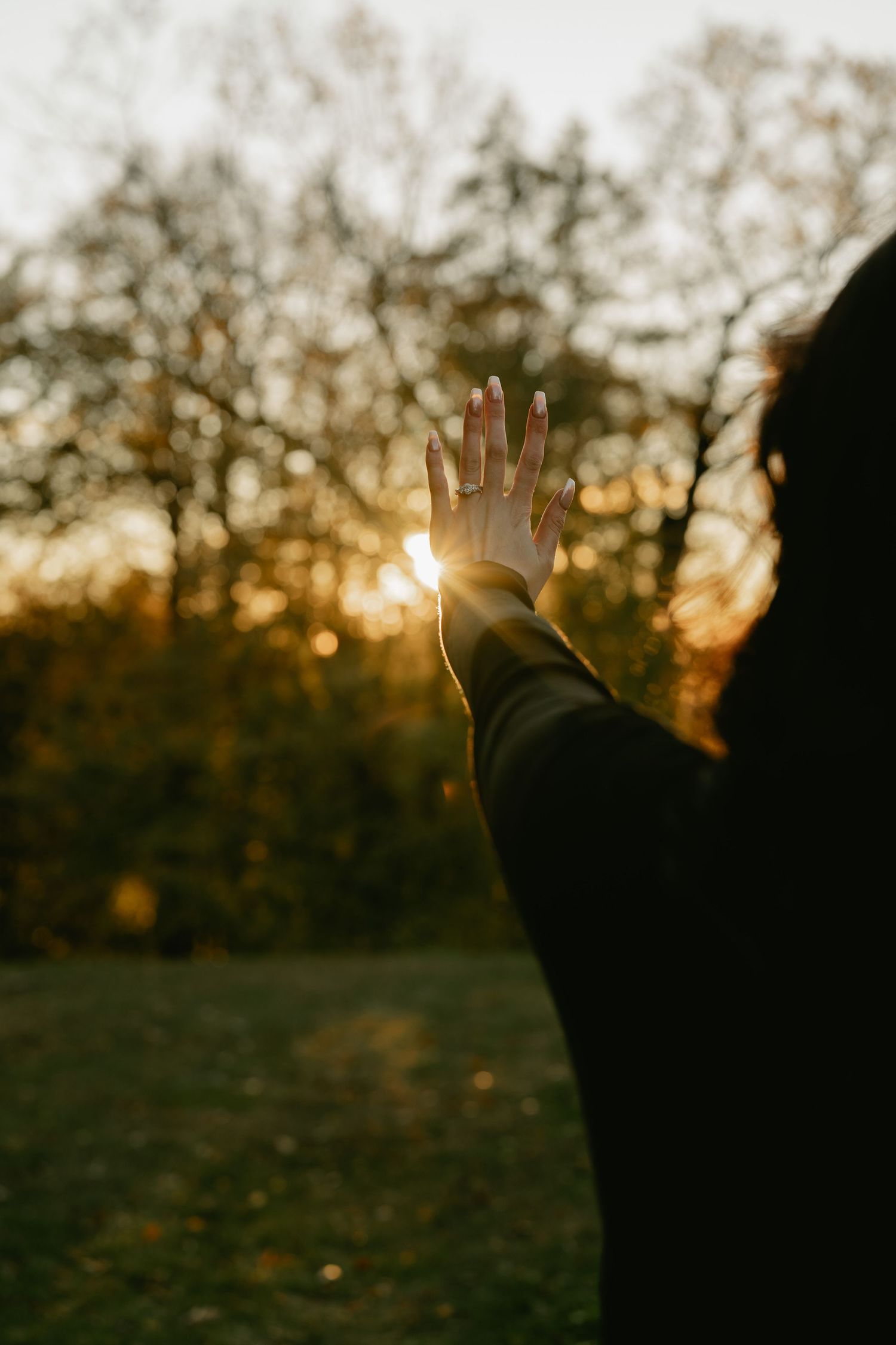 Hand reaching towards golden sunlight through autumn trees at sunset.